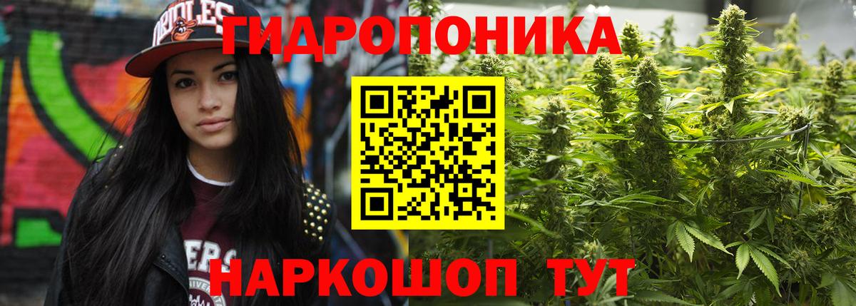 Каннабис Bruce Banner  Шишки марихуана Ganja  Конопля ГИДРОПОН  Торжок  Вход с VPN  Канабис AK-47 