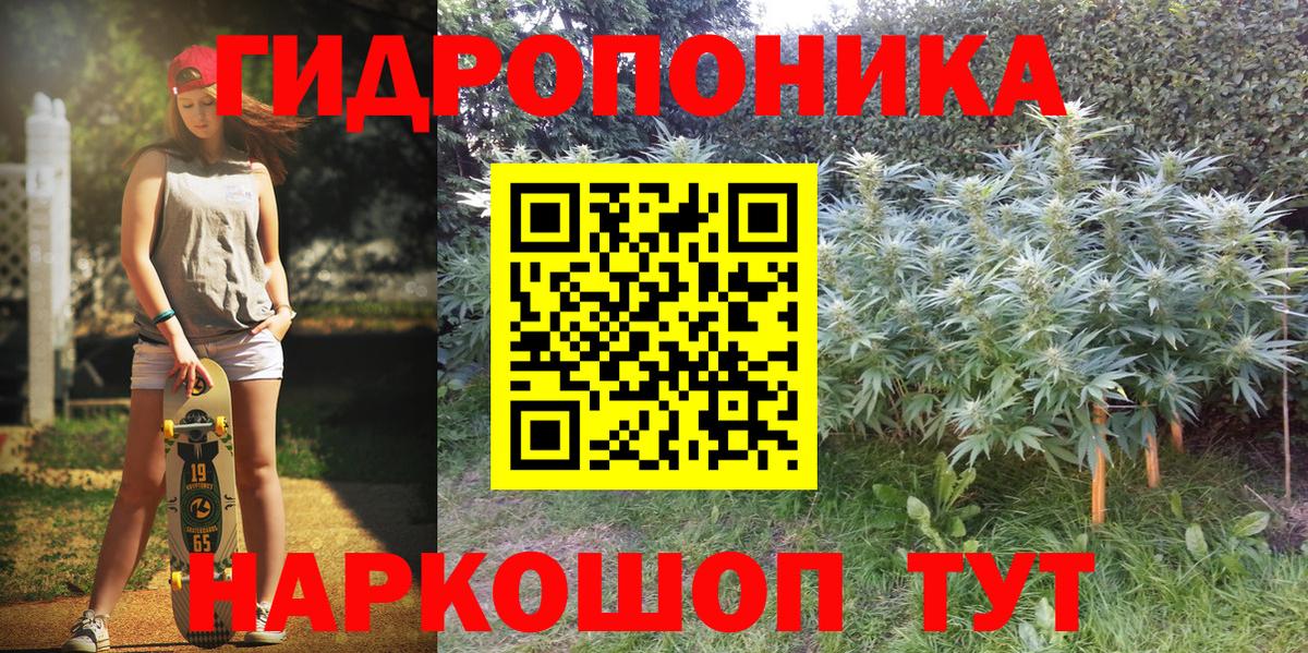 Шишки марихуана White Widow Торжок